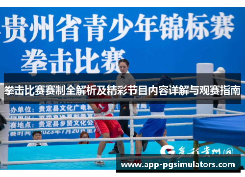 拳击比赛赛制全解析及精彩节目内容详解与观赛指南