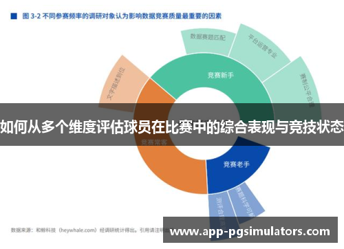 如何从多个维度评估球员在比赛中的综合表现与竞技状态