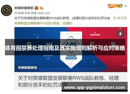 体育圈禁赛处理指南及其实施细则解析与应对策略