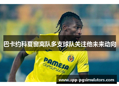 巴卡约科夏窗离队多支球队关注他未来动向