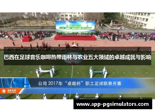 巴西在足球音乐咖啡热带雨林与农业五大领域的卓越成就与影响