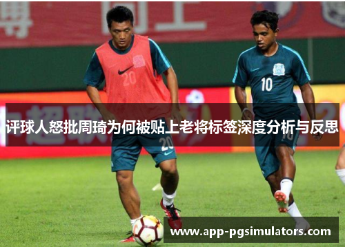 评球人怒批周琦为何被贴上老将标签深度分析与反思 评球人怒批周琦为何被贴上老将标签深度分析与反思