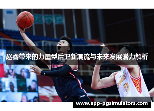 赵睿带来的力量型后卫新潮流与未来发展潜力解析