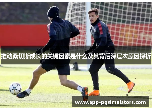 推动桑切斯成长的关键因素是什么及其背后深层次原因探析