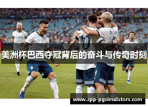 美洲杯巴西夺冠背后的奋斗与传奇时刻