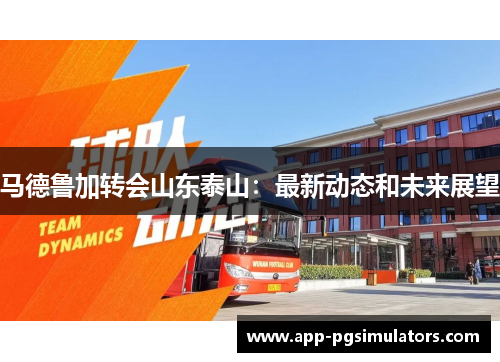 马德鲁加转会山东泰山：最新动态和未来展望