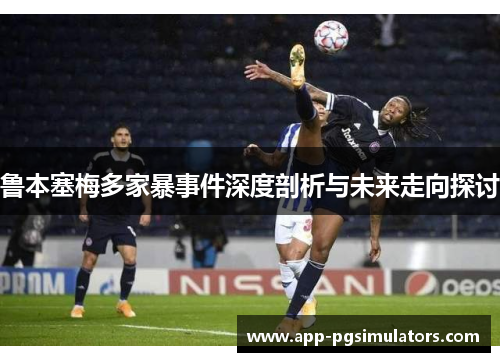 鲁本塞梅多家暴事件深度剖析与未来走向探讨 鲁本塞梅多家暴事件深度剖析与未来走向探讨