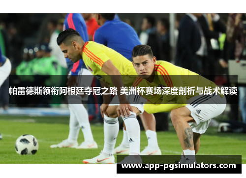 帕雷德斯领衔阿根廷夺冠之路 美洲杯赛场深度剖析与战术解读