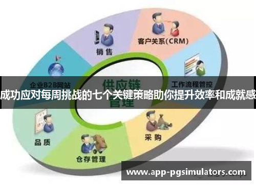 成功应对每周挑战的七个关键策略助你提升效率和成就感