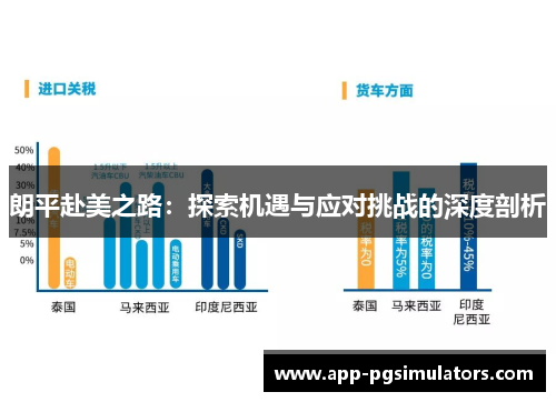 朗平赴美之路：探索机遇与应对挑战的深度剖析