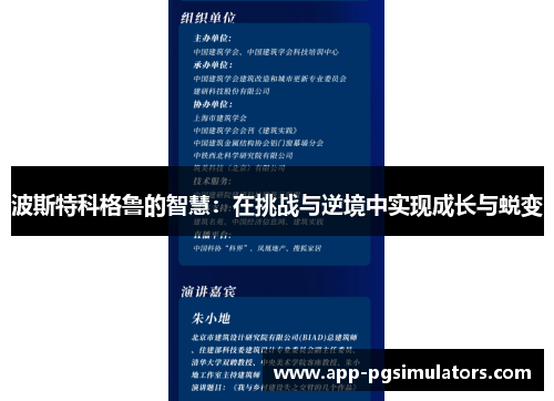 波斯特科格鲁的智慧：在挑战与逆境中实现成长与蜕变